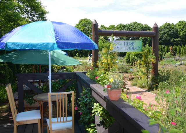 herbgarden