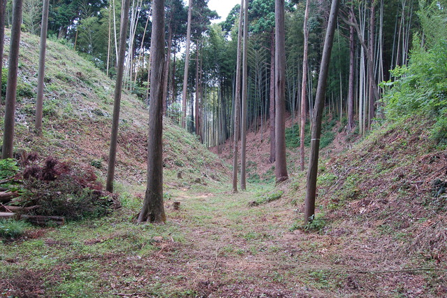 倉跡とセッテイ山の間の空堀.JPG