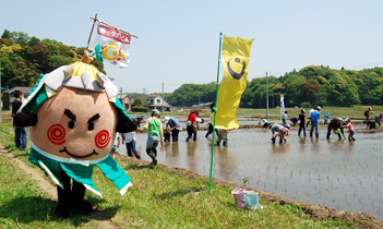 浦安市の皆さんと田植え体験の画像