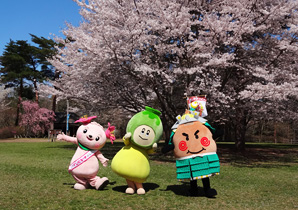 「勝っタネ！くん」「きみぴょん」「よつぼくん」と桜の画像
