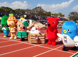 第２回 成田スポーツフェスティバルの写真
