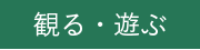 観る・遊ぶ